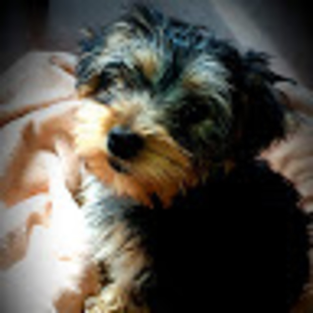 Meet your Posher, Denverdiva